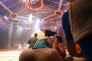 les NoNo font leur cirque 60 * 3504 x 2336 * (3.14MB)